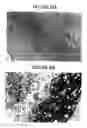 Fig. 19 - Methods and compositions for modulating immunity