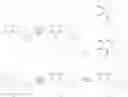 Fig. 13 - Fused heterocycle derivative, medicinal composition containing the same, and medicinal use thereof