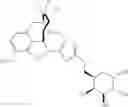 Fig. 09 - Carbohydrate conjugates to prevent abuse of controlled substances