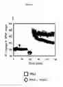 Fig. 06 - Compositions and methods for treatment of disorders of protein aggregation