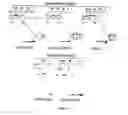 Fig. 03 - Nucleic acids useful for triggering tumor cell lethality