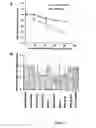 Fig. 04 - Nucleic acids useful for triggering tumor cell lethality