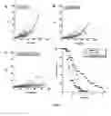 Fig. 10 - Nucleic acids useful for triggering tumor cell lethality