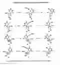 Fig. 04 - Treatment of EBV and KHSV infection and associated abnormal cellular proliferation