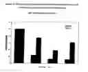Fig. 14 - Treatment of EBV and KHSV infection and associated abnormal cellular proliferation