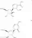 Fig. 05 - Antiviral nucleosides