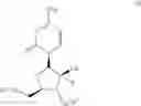 Fig. 13 - Antiviral nucleosides