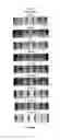 Fig. 04 - Synthetic membrane anchors