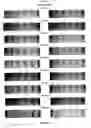 Fig. 06 - Synthetic membrane anchors