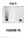 Fig. 11 - Synthetic membrane anchors