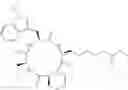 Fig. 06 - Methods of using SAHA and Bortezomib for treating cancer