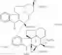 Fig. 30 - Methods of using SAHA and Bortezomib for treating cancer