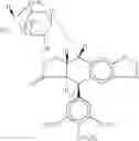 Fig. 31 - Methods of using SAHA and Bortezomib for treating cancer