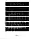 Fig. 08 - Triptolide derivatives and their uses