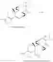 Fig. 14 - Triptolide derivatives and their uses
