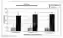 Fig. 01 - Systems and methods for the delivery of corticosteroids having an increased lung deposition