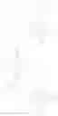 Fig. 23 - Substituted porphyrins