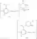 Fig. 85 - Processes for the preparation of piperazinyl and diazapanyl benzamide derivatives