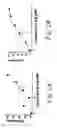 Fig. 03 - Compositions and methods for modulating gated ion channels