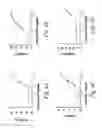 Fig. 05 - Compositions and methods for modulating gated ion channels
