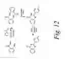 Fig. 13 - Compositions and methods for modulating gated ion channels