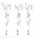 Fig. 14 - Compositions and methods for modulating gated ion channels