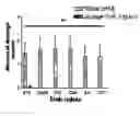 Fig. 01 - Neuroprotective bicyclic compounds and methods for their use