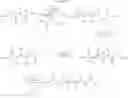 Fig. 12 - Lactams of alkylated acyclic diamine derivatives as modulators of chemokine receptor activity