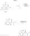 Fig. 44 - Dpp-iv inhibitors