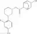 Fig. 32 - Amido compounds and their use as pharmaceuticals