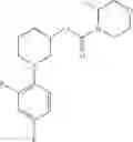 Fig. 99 - Amido compounds and their use as pharmaceuticals