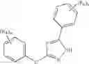 Fig. 19 - GLUCOKINASE ACTIVATORS