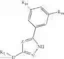 Fig. 22 - GLUCOKINASE ACTIVATORS