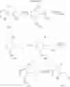 Fig. 108 - Antibacterial 3,5-diaminopiperidine-substituted aromatic and heteroaromatic compounds