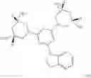 Fig. 446 - Antibacterial 3,5-diaminopiperidine-substituted aromatic and heteroaromatic compounds