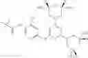 Fig. 769 - Antibacterial 3,5-diaminopiperidine-substituted aromatic and heteroaromatic compounds