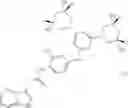 Fig. 959 - Antibacterial 3,5-diaminopiperidine-substituted aromatic and heteroaromatic compounds