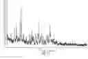 Fig. 12 - Polymorphic forms of vardenafil