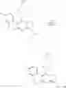 Fig. 09 - Pyrazolopyrimidines