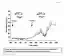 Fig. 05 - Method and composition for treatment of diabetes, hypertension, chronic heart failure and fluid retentive states
