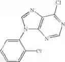 Fig. 20 - Aryl substituted purine analogues