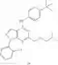 Fig. 49 - Aryl substituted purine analogues