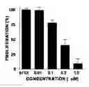 Fig. 01 - Compositions and methods to treat diseases characterized by cellular proliferation and angiogenesis
