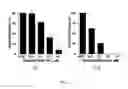 Fig. 02 - Compositions and methods to treat diseases characterized by cellular proliferation and angiogenesis