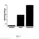Fig. 04 - Compositions and methods to treat diseases characterized by cellular proliferation and angiogenesis