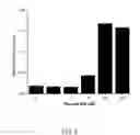 Fig. 06 - Compositions and methods to treat diseases characterized by cellular proliferation and angiogenesis