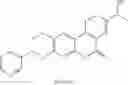 Fig. 33 - Compositions and methods to treat diseases characterized by cellular proliferation and angiogenesis