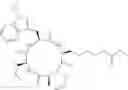 Fig. 10 - Methods of using SAHA and Erlotinib for treating cancer