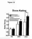 Fig. 02 - Compositions and methods in the treatment of bone metabolic disorders