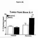 Fig. 05 - Compositions and methods in the treatment of bone metabolic disorders